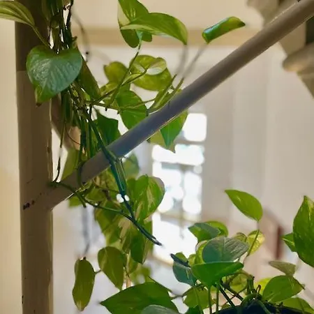 Apartman San Iacopino *
